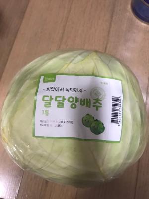 사진후기 대표 이미지