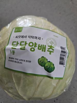 사진후기 대표 이미지