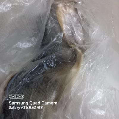 사진후기 대표 이미지