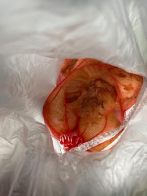 구매후기 사진
