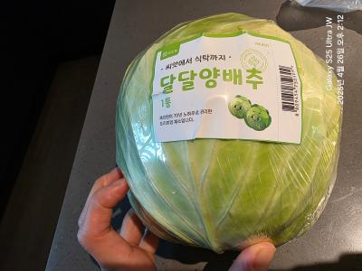 사진후기 대표 이미지