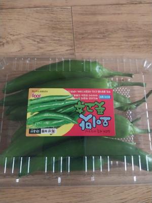 상품평 이미지