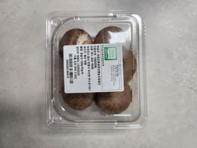 사진후기 대표 이미지