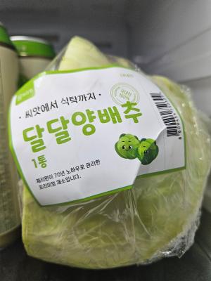사진후기 대표 이미지