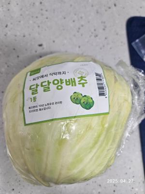 사진후기 대표 이미지