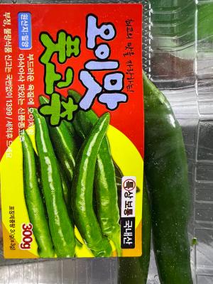 사진후기 대표 이미지