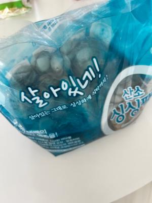 사진후기 대표 이미지