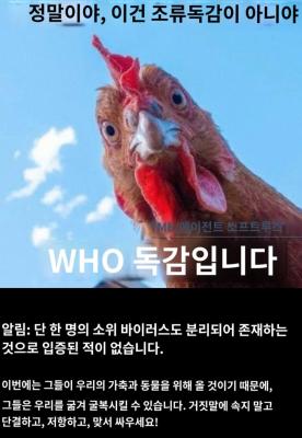 상품평 이미지
