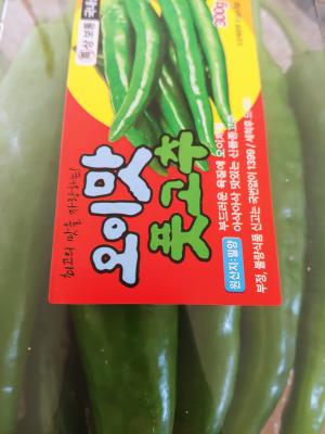 사진후기 대표 이미지
