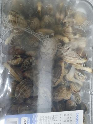 상품평 이미지