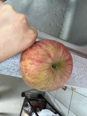 사진후기 대표 이미지