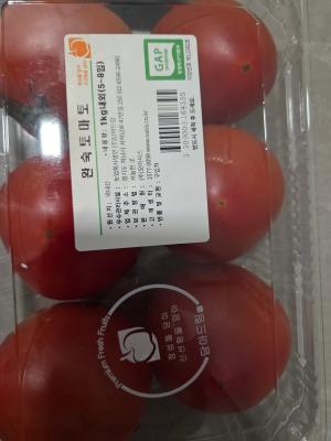 사진후기 대표 이미지
