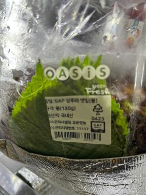 사진후기 대표 이미지