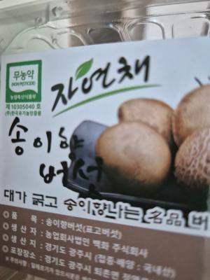 사진후기 대표 이미지