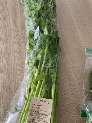 사진후기 대표 이미지