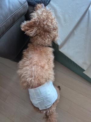 상품평 이미지