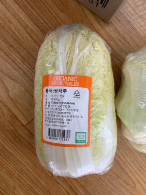 사진후기 대표 이미지