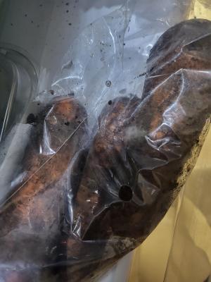 구매후기 사진