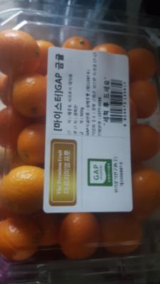 상품평 이미지