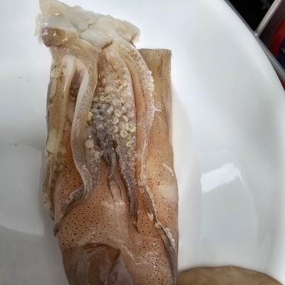 상품평 이미지