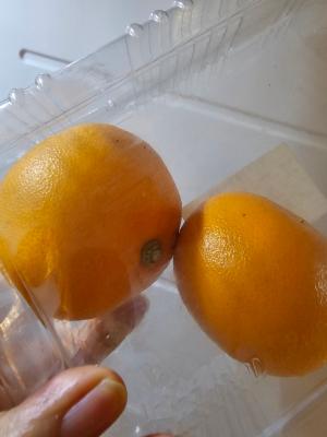 상품평 이미지