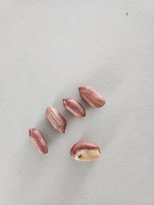 상품평 이미지