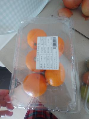 상품평 이미지