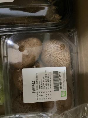 상품평 이미지