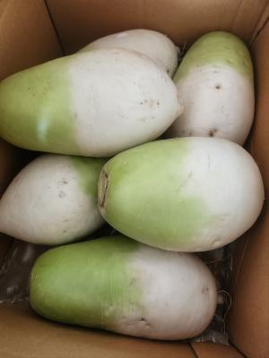 후기 이미지
