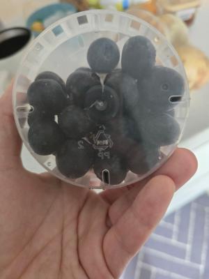 사진후기 대표 이미지