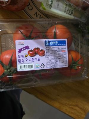 사진후기 대표 이미지