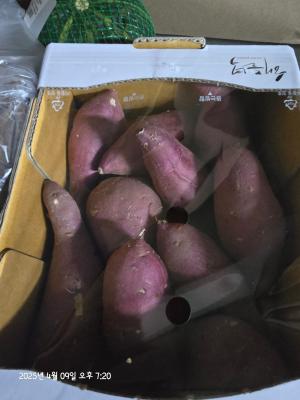 상품평 이미지