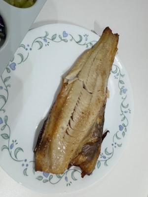 사진후기 대표 이미지