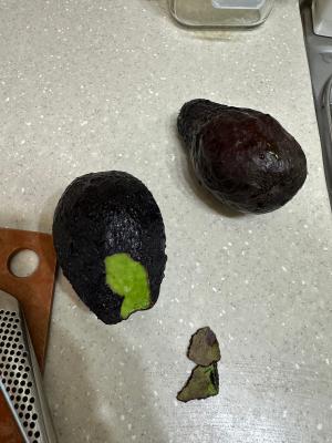 사진후기 대표 이미지