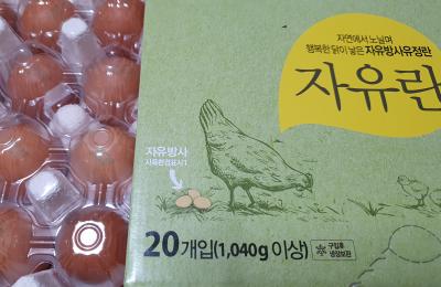 사진후기 대표 이미지