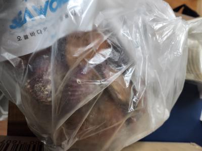 구매후기 사진