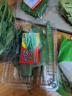 사진후기 대표 이미지
