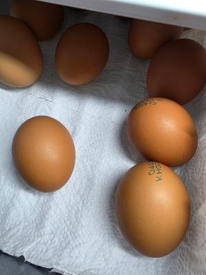 상품평 이미지