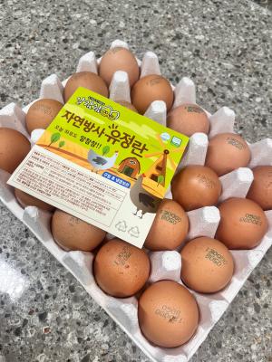 사진후기 대표 이미지