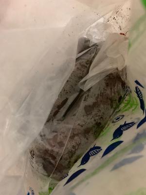 구매후기 사진