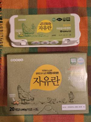 사진후기 대표 이미지
