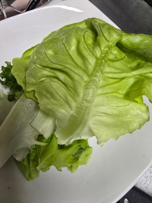 구매후기 사진