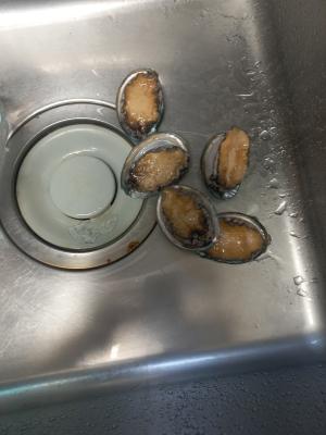 구매후기 사진