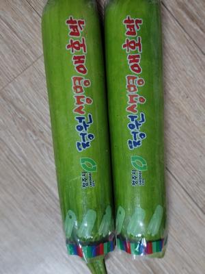사진후기 대표 이미지