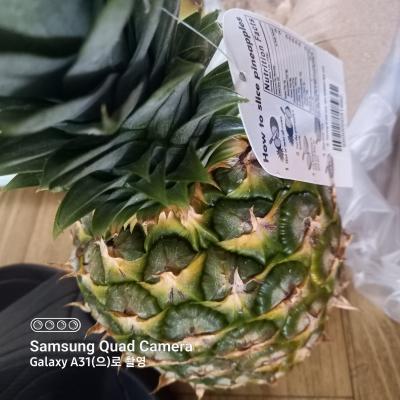 사진후기 대표 이미지