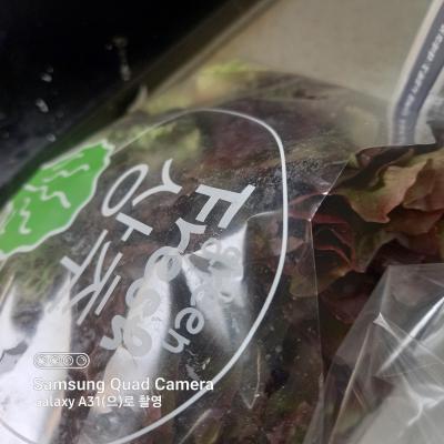 사진후기 대표 이미지