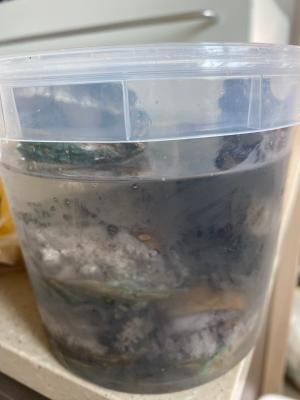 구매후기 사진