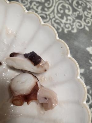구매후기 사진