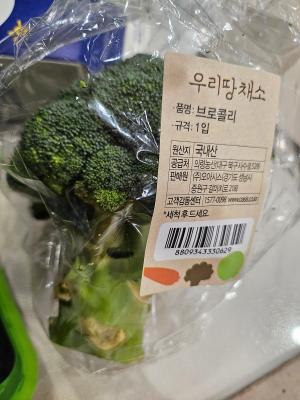 상품평 이미지