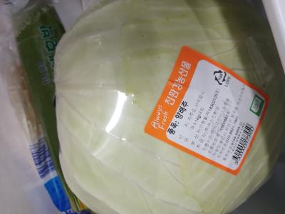 사진후기 대표 이미지